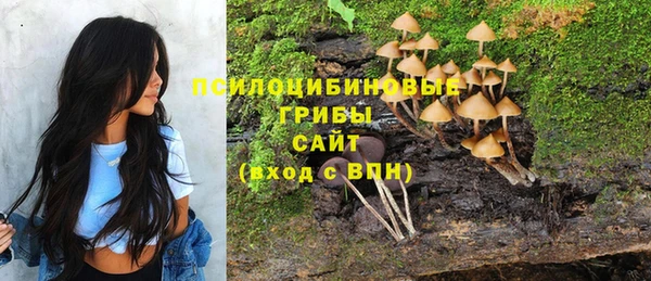 синтетический гашиш Алексин
