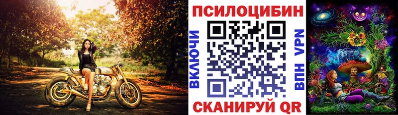 Галлюциногенные грибы мицелий  Рубцовск 