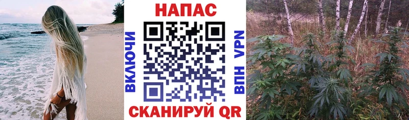 Бошки Шишки семена  hydra сайт  Рубцовск 